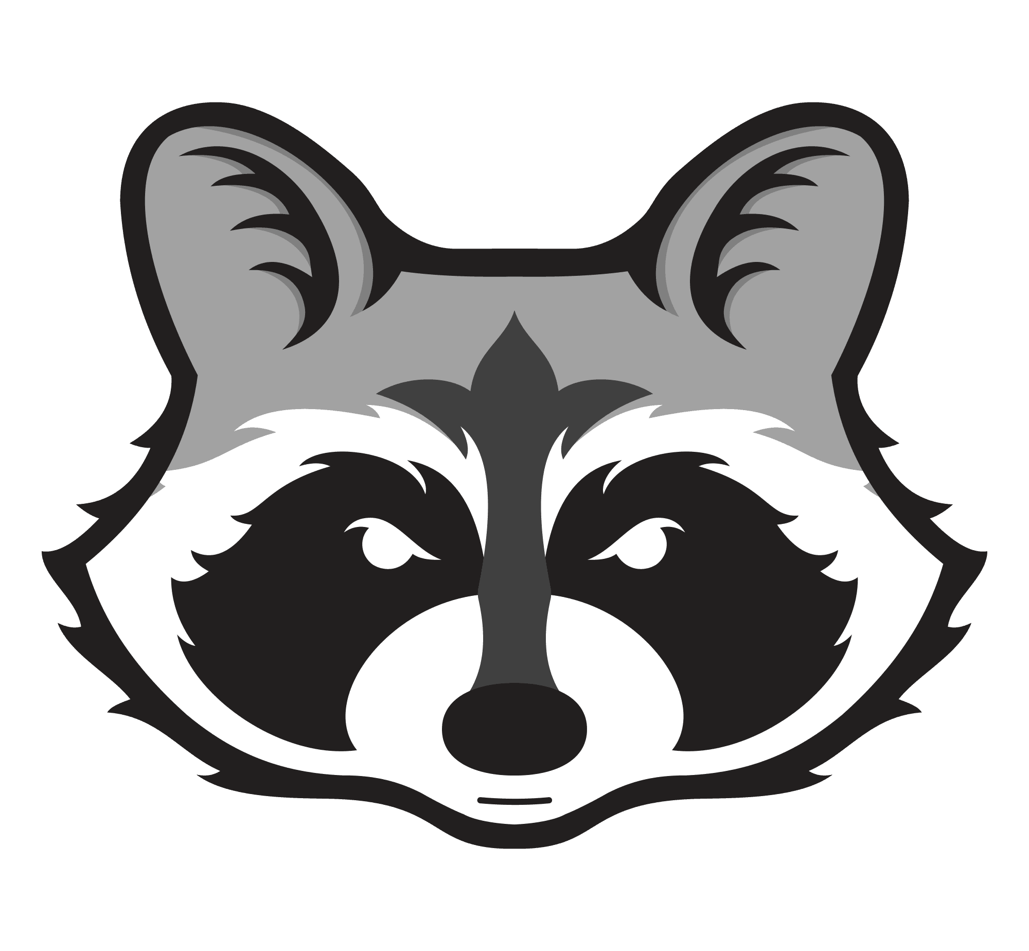Hlava myvala ze znaku Raccoons